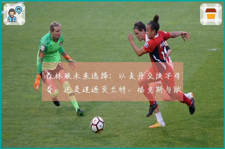 森林狼未来选择：以麦丹交换字母哥，还是追逐莫兰特、福克斯与欧文争冠？