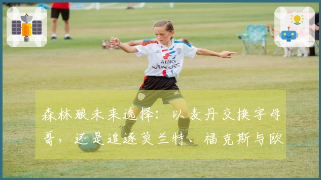 森林狼未来选择：以麦丹交换字母哥，还是追逐莫兰特、福克斯与欧文争冠？